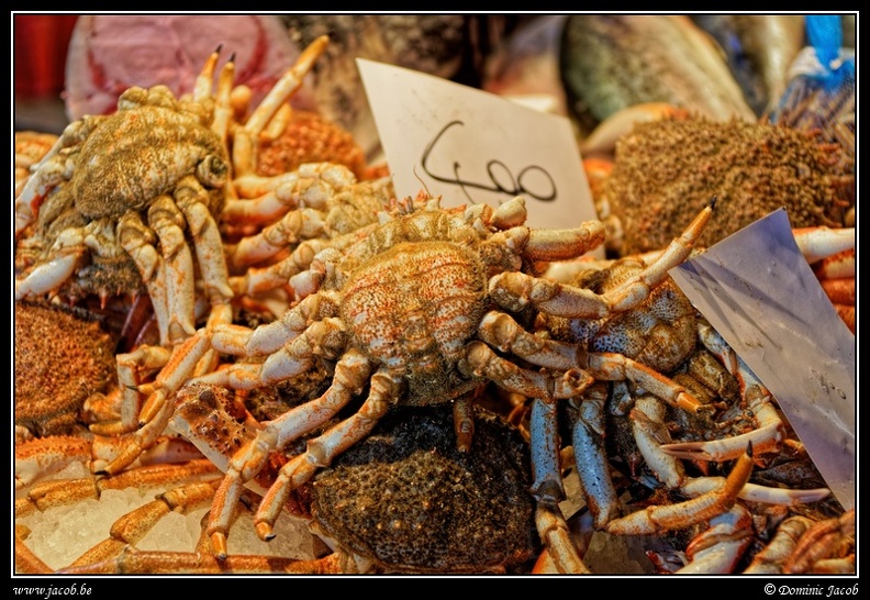 025-Mercato del Pesce.jpg