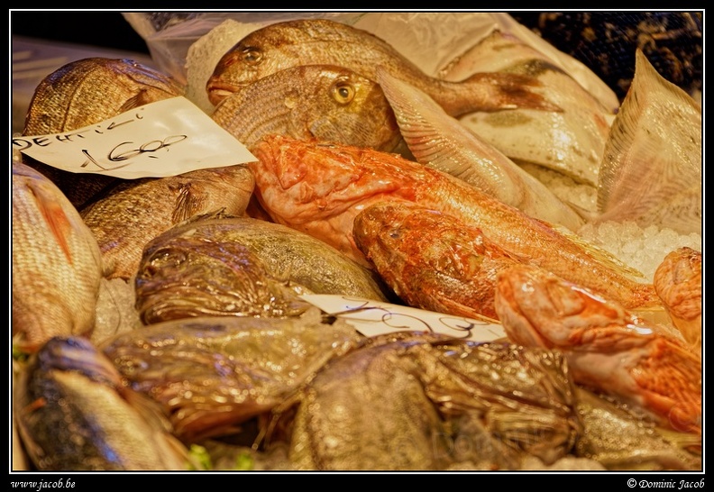 031-Mercato del Pesce.jpg