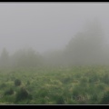 171j-Hautes Fagnes