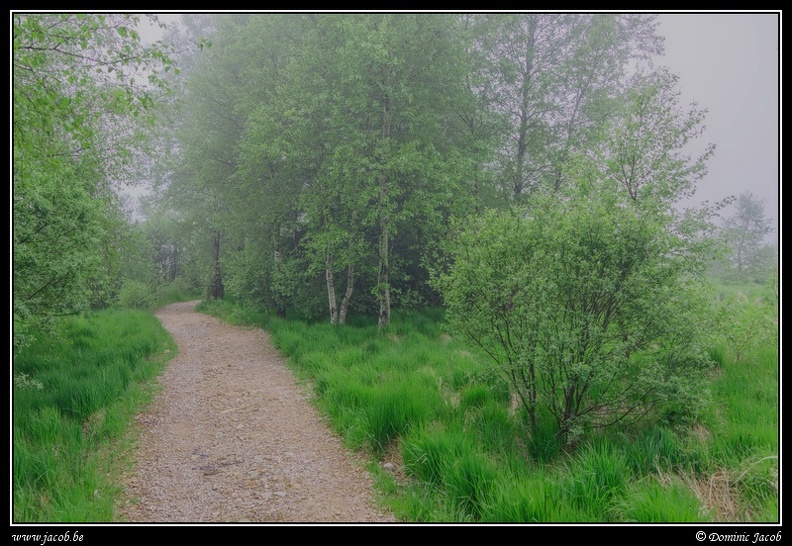 172j-Hautes Fagnes