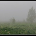 178j-Hautes Fagnes