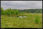 187j-Hautes Fagnes