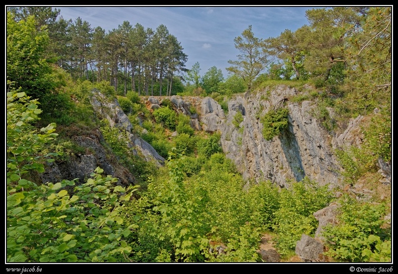 003-Fondry des chiens