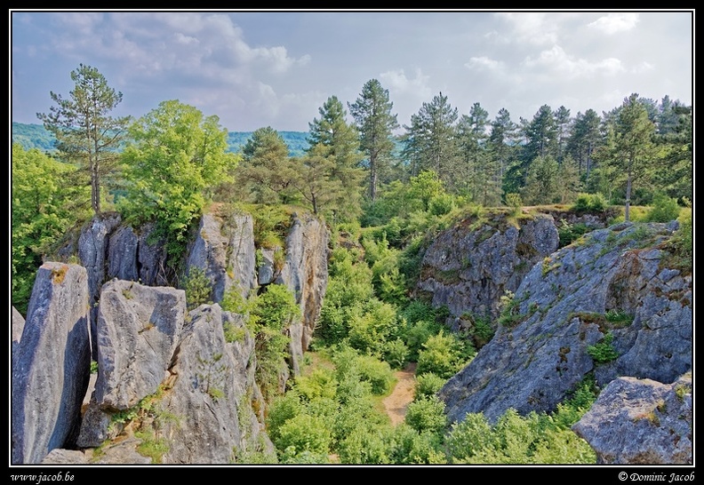 007-Fondry des chiens