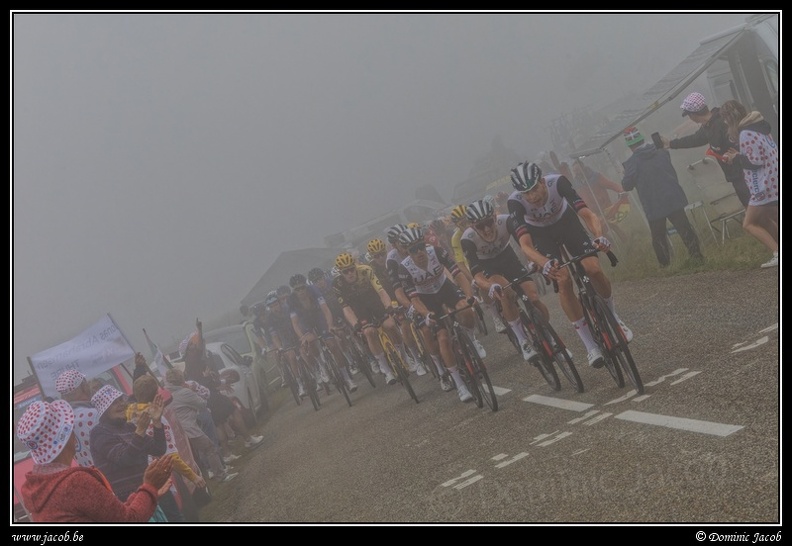 017-Tour de France.jpg