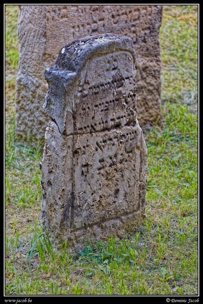 006-Wien Friedhof.jpg