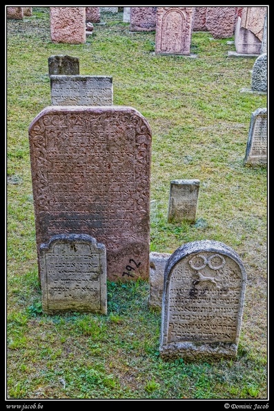 007-Wien Friedhof.jpg