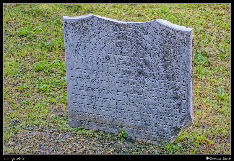 008-Wien Friedhof.jpg