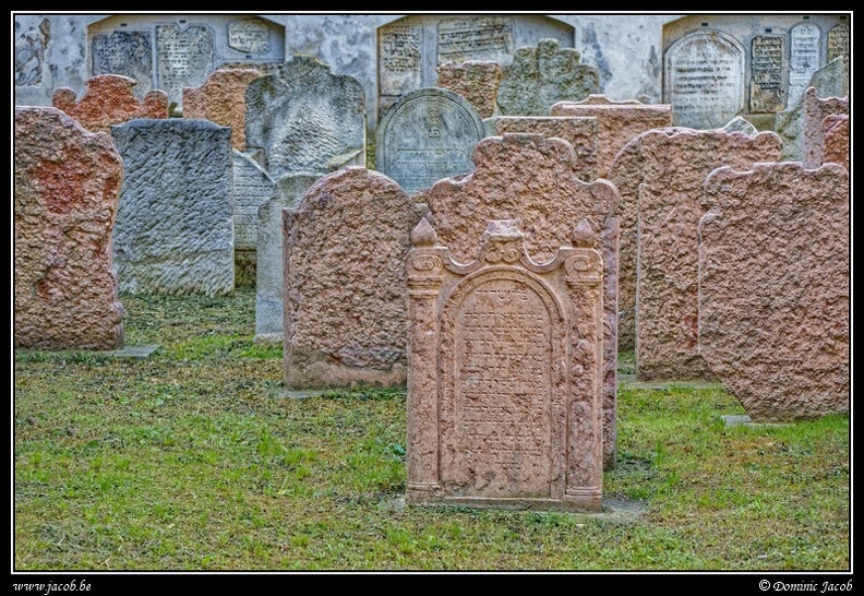 011-Wien Friedhof.jpg