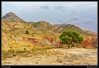 004-Montnegre