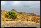 005-Montnegre
