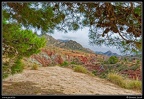 018-Montnegre