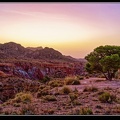 020-Montnegre