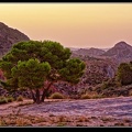 021-Montnegre