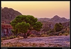 021-Montnegre