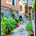 0815i-Venezia