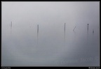 0790i-Nebbia