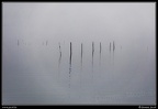 0791i-Nebbia