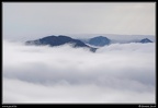063-Brumes matinales