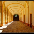 005-Cluny