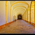 004-Cluny