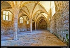 013-Cluny