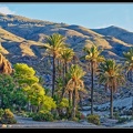 111-El Chorillo