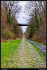 006-Arenberg
