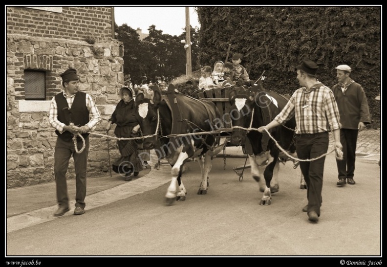 074-Sart-sepia.jpg