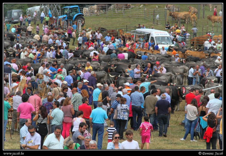 076-Puentenansa Fiestas de San Miguel