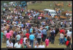 2014-Puentenansa, Fiestas de San Miguel