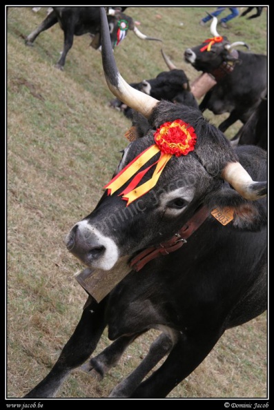 084-Puentenansa Fiestas de San Miguel.jpg