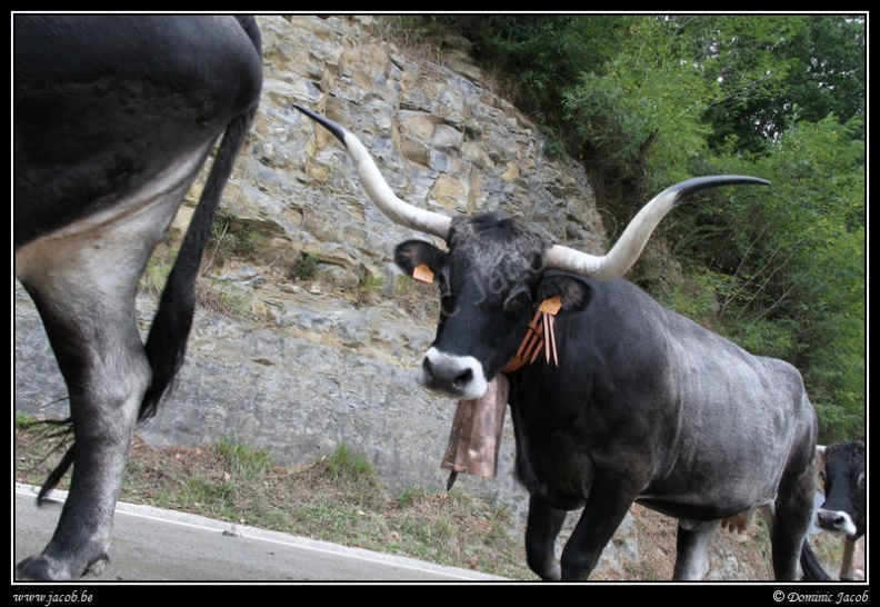 228-Puentenansa Fiestas de San Miguel.jpg