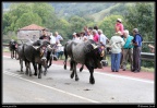 199-Puentenansa Fiestas de San Miguel